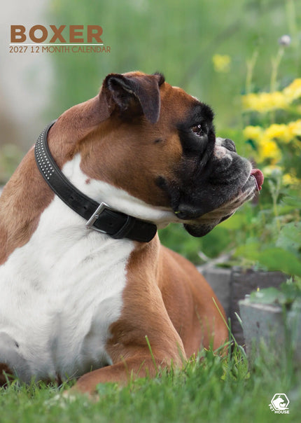 CalendarsRUs Boxer A3 Kalender 2027