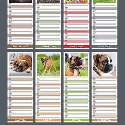 CalendarsRUs Boxer Slimline Kalender 2026