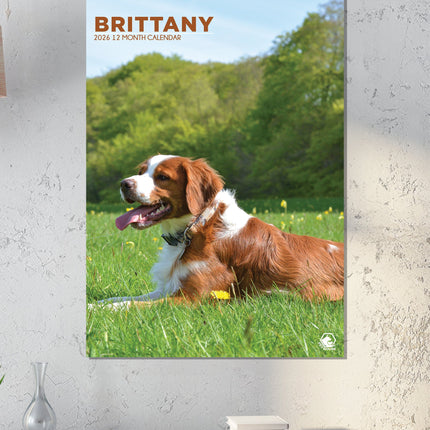 CalendarsRUs Brittany Spaniel A3 Kalender 2026
