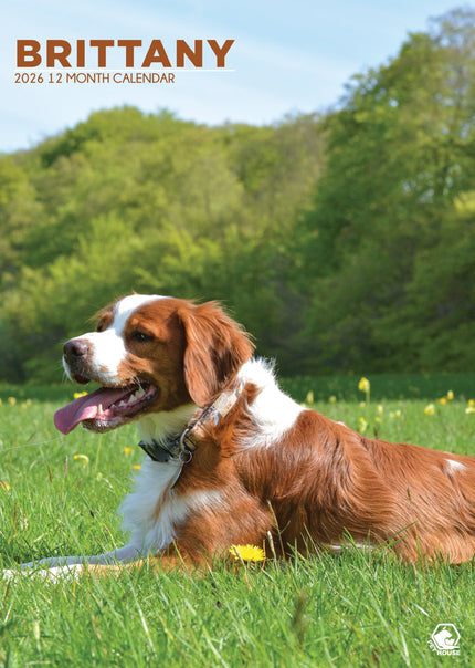 CalendarsRUs Brittany Spaniel A3 Kalender 2026