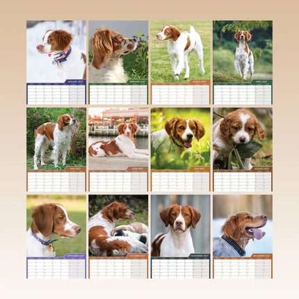 CalendarsRUs Brittany Spaniel A3 Kalender 2027