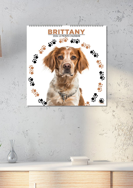 CalendarsRUs Brittany Spaniel Kalender 2026