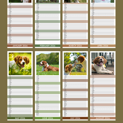 CalendarsRUs Brittany Spaniel Slimline Kalender 2026