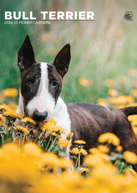 CalendarsRUs Bull Terrier A3 Kalender 2026