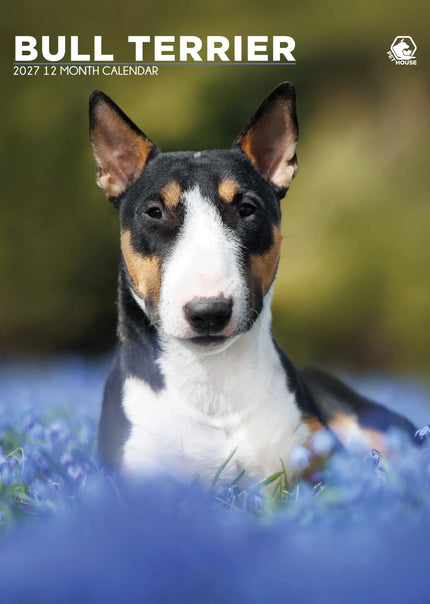 CalendarsRUs Bull Terrier A3 Kalender 2027