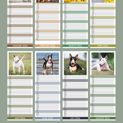 CalendarsRUs Bull Terrier Slimline Kalender 2026