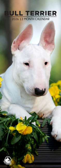 CalendarsRUs Bull Terrier Slimline Kalender 2026