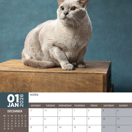 CalendarsRUs Burmees A3 kalender 2026