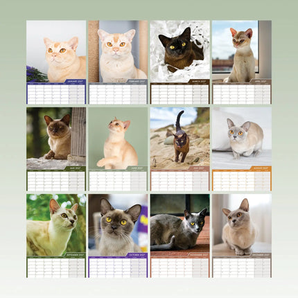 CalendarsRUs Burmees A3 kalender 2027