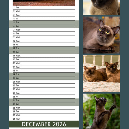 CalendarsRUs Burmees Slimline Kalender 2026