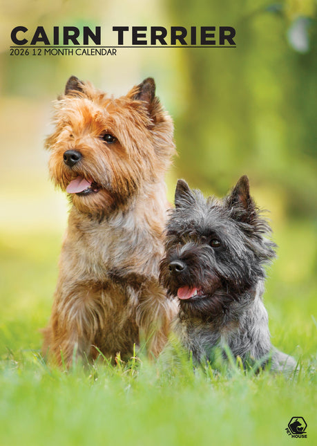 CalendarsRUs Cairn Terrier A3 Kalender 2026