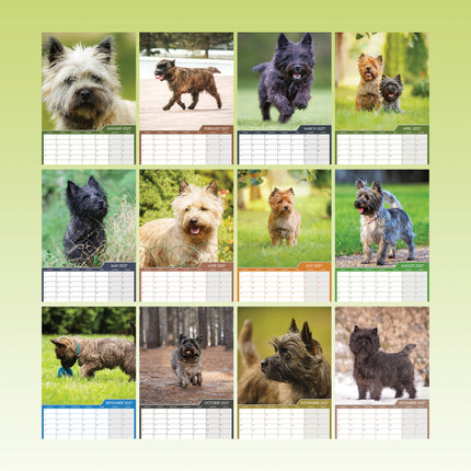 CalendarsRUs Cairn Terrier A3 Kalender 2027