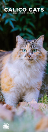 CalendarsRUs Calico Katten Slimline Kalender 2026