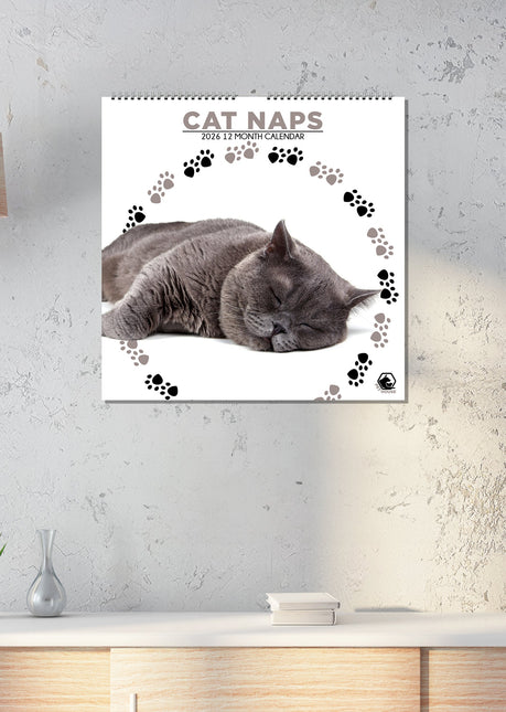 CalendarsRUs Cat Naps Kalendar 2026