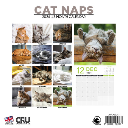 CalendarsRUs Cat Naps Kalendar 2026