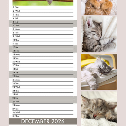 CalendarsRUs Cat Naps Slimline Kalender 2026
