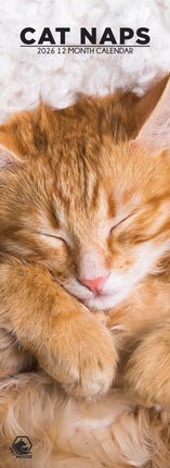CalendarsRUs Cat Naps Slimline Kalender 2026