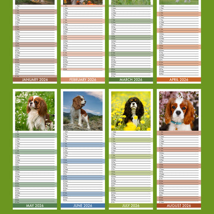 CalendarsRUs Cavalier King Charles Slimline Kalender 2026