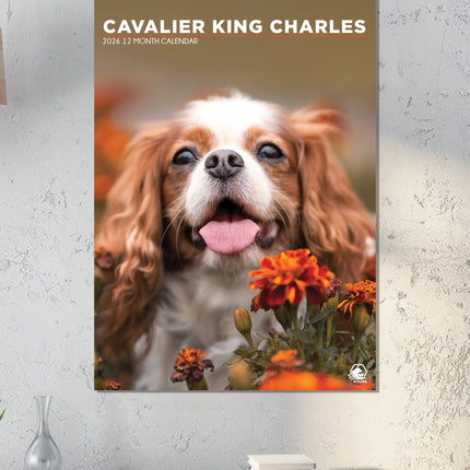 CalendarsRUs Cavalier King Charles Spaniel A3 Kalender 2027
