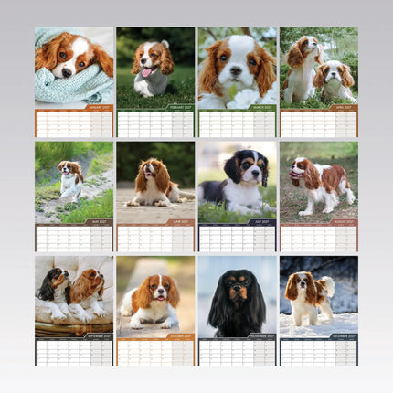 CalendarsRUs Cavalier King Charles Spaniel A3 Kalender 2027