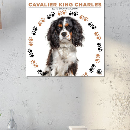 CalendarsRUs Cavalier King Charles Spaniel Kalender 2026