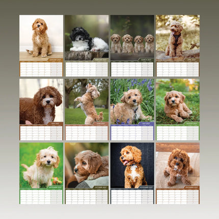 CalendarsRUs Cavapoo A3 Kalender 2027