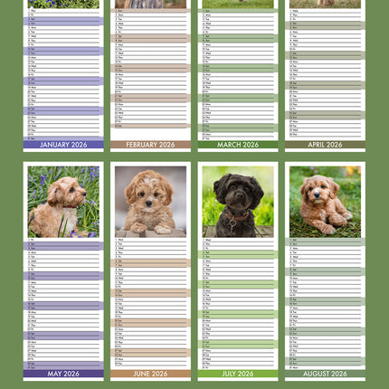 CalendarsRUs Cavapoo Slimline Kalender 2026