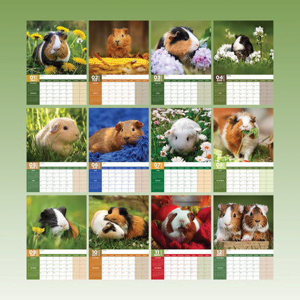 CalendarsRUs Cavia A3 Kalender 2026