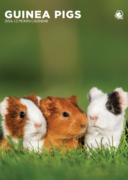 CalendarsRUs Cavia A3 Kalender 2026