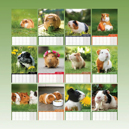 CalendarsRUs Cavia A3 Kalender 2027