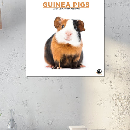 CalendarsRUs Cavia Kalender 2026