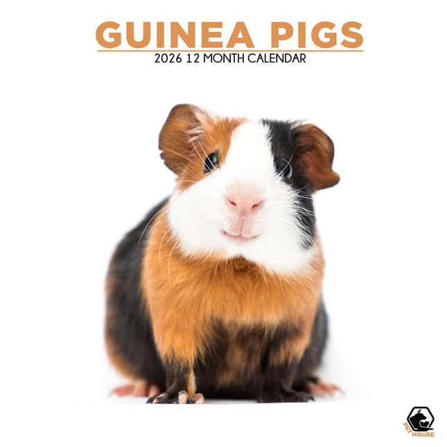 CalendarsRUs Cavia Kalender 2026