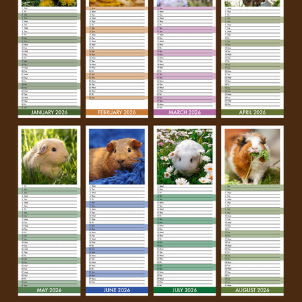 CalendarsRUs Cavia Slimline Kalender 2026