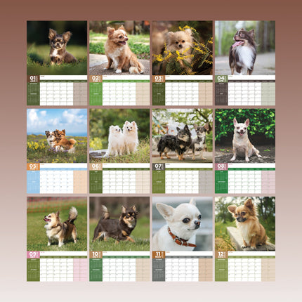 CalendarsRUs Chihuahua A3 Kalender 2026