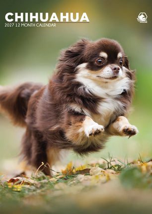 CalendarsRUs Chihuahua A3 Kalender 2027