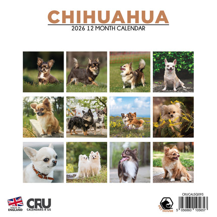 CalendarsRUs Chihuahua Kalender 2026
