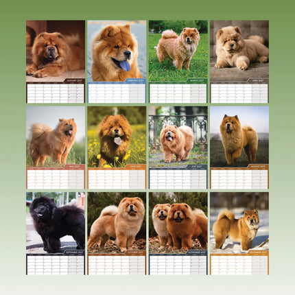 CalendarsRUs Chow Chow A3 Kalender 2027