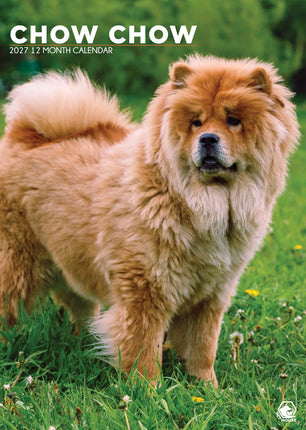 CalendarsRUs Chow Chow A3 Kalender 2027