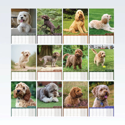 CalendarsRUs Cockapoo A3 Kalender 2027