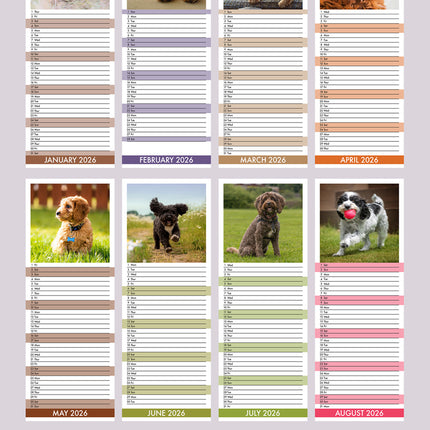 CalendarsRUs Cockapoo Slimline Kalender 2026