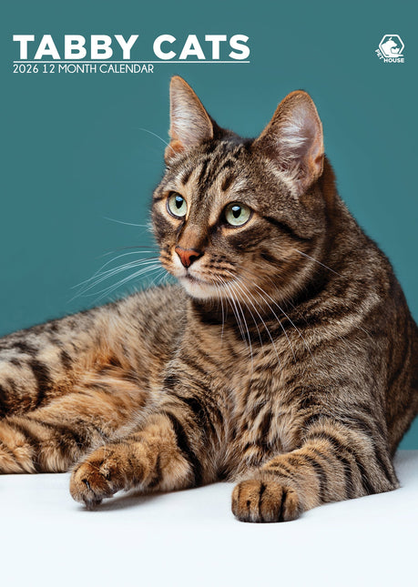 CalendarsRUs Cyperse A3 Katten Kalender 2026