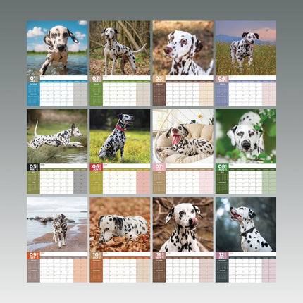 CalendarsRUs Dalmatier A3 Kalender 2026