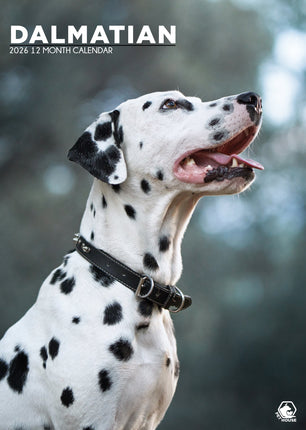 CalendarsRUs Dalmatier A3 Kalender 2026