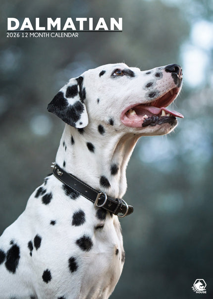 CalendarsRUs Dalmatier A3 Kalender 2026