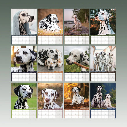 CalendarsRUs Dalmatier A3 Kalender 2027