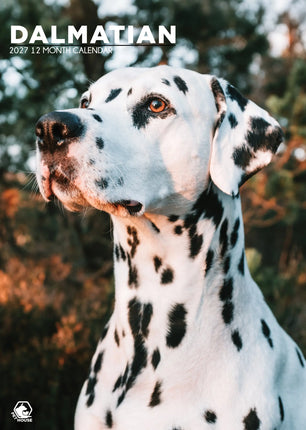 CalendarsRUs Dalmatier A3 Kalender 2027