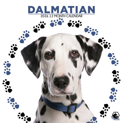 CalendarsRUs Dalmatier Kalender 2026