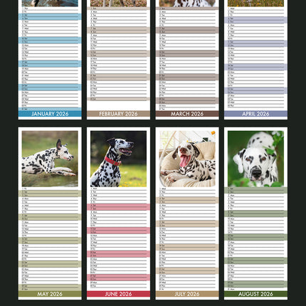 CalendarsRUs Dalmatier Slimline Kalender 2026