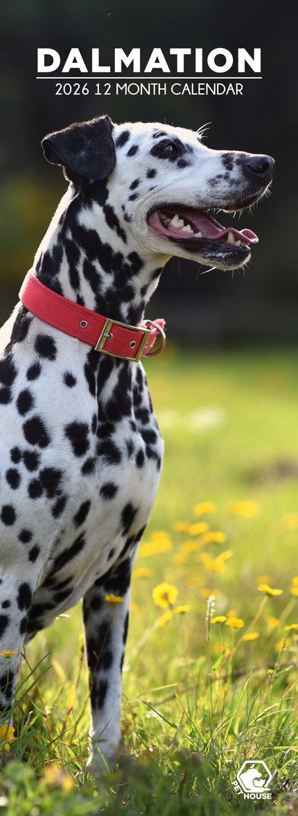 CalendarsRUs Dalmatier Slimline Kalender 2026