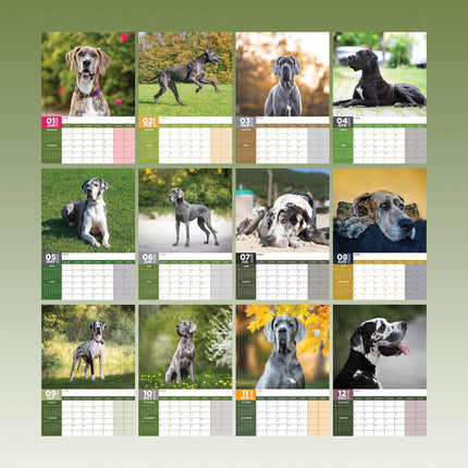 CalendarsRUs Duitse Dog A3 Kalender 2026